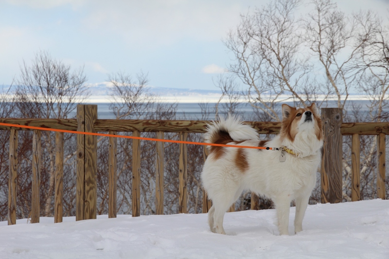 ファイル 39-1.jpg