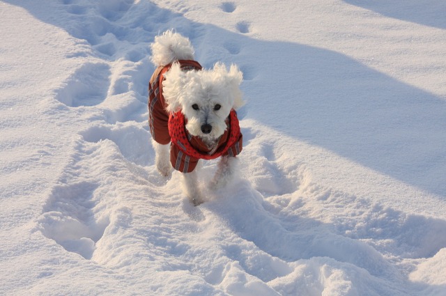 ファイル 4-5.jpg