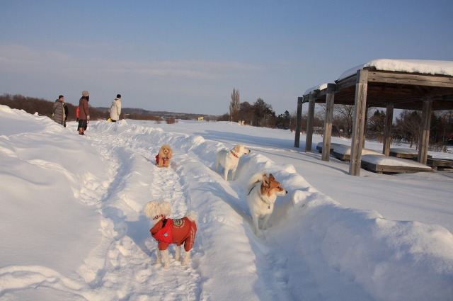 ファイル 4-6.jpg