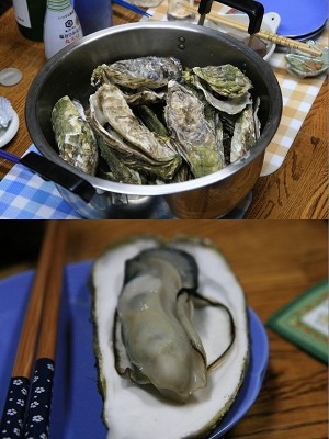 ファイル 4-8.jpg