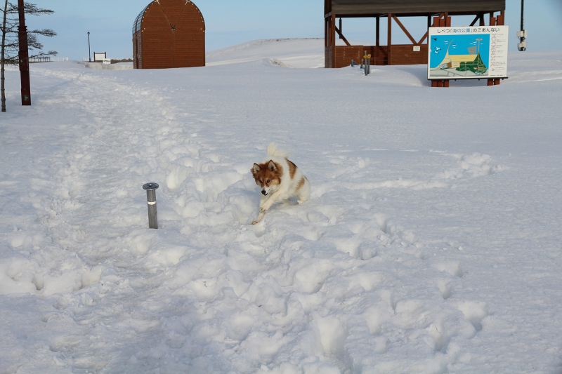 ファイル 41-3.jpg