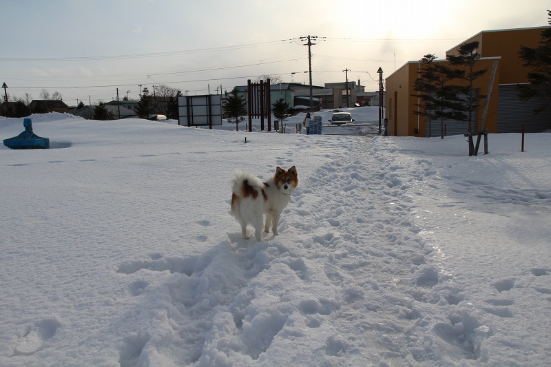 ファイル 41-4.jpg