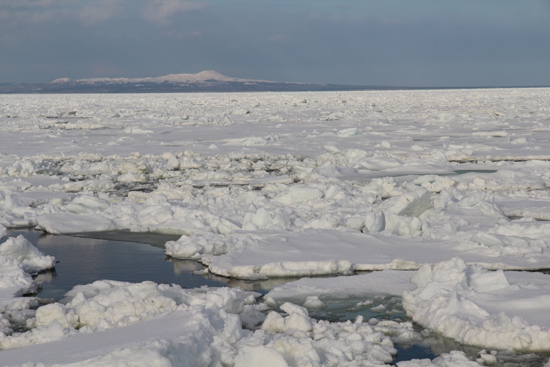 ファイル 41-8.jpg