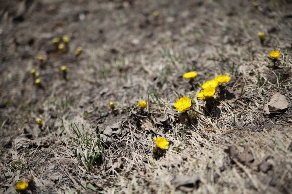 ファイル 42-1.jpg