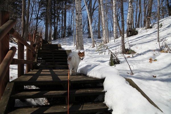 ファイル 42-4.jpg