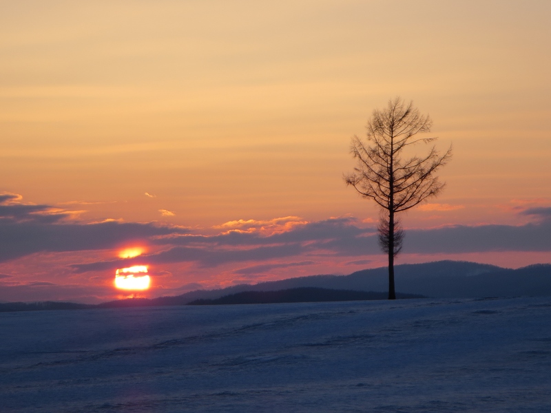 ファイル 42-5.jpg