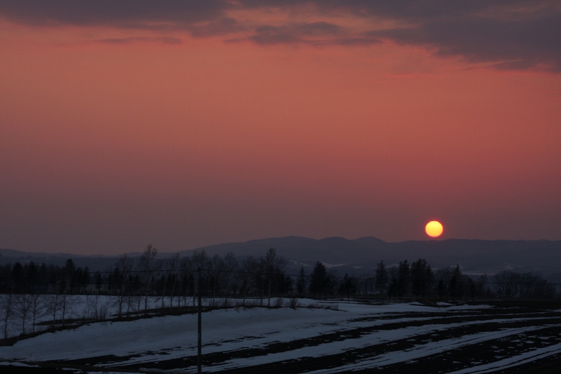 ファイル 44-1.jpg