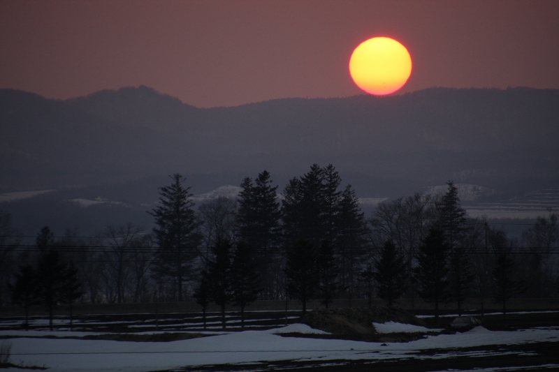 ファイル 44-2.jpg