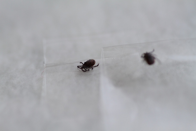 ファイル 44-3.jpg