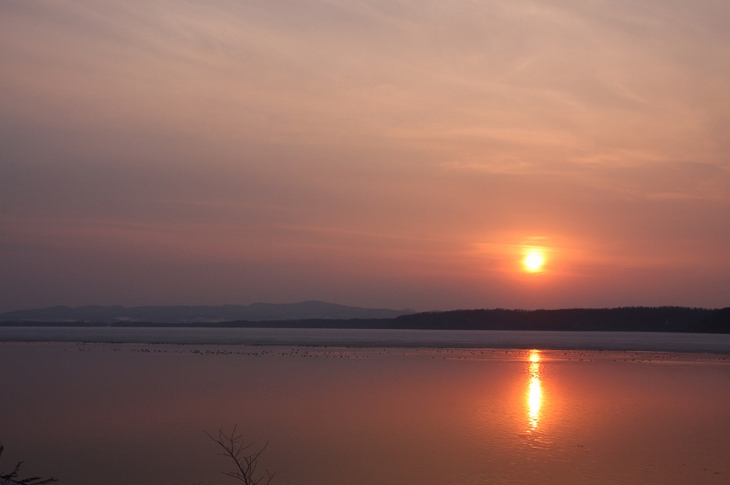 ファイル 45-1.jpg