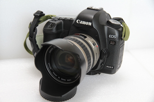 ファイル 46-3.jpg