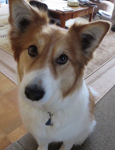 ファイル 48-1.jpg