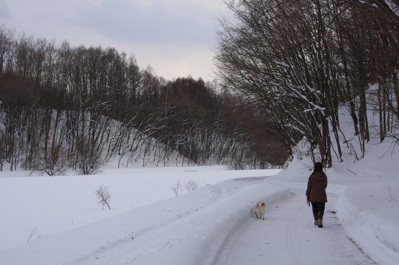 ファイル 5-2.jpg