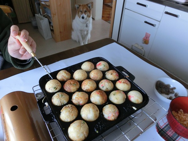 ファイル 5-3.jpg