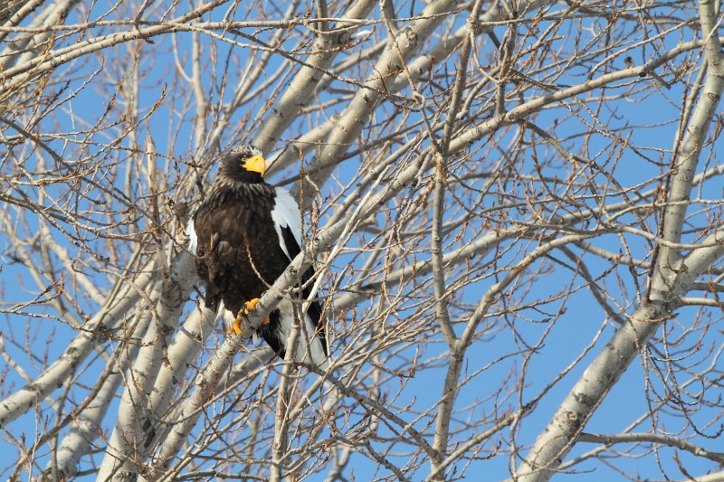 ファイル 5-8.jpg