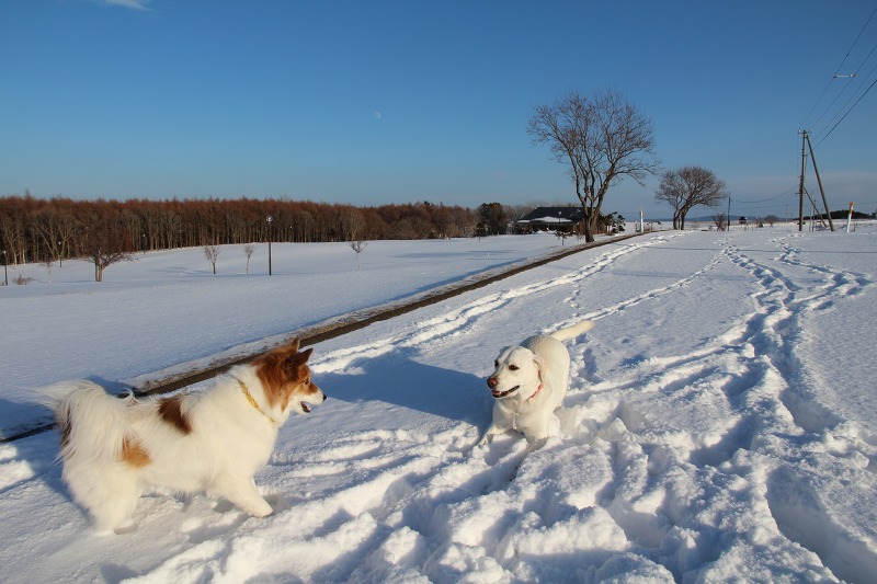 ファイル 5-9.jpg