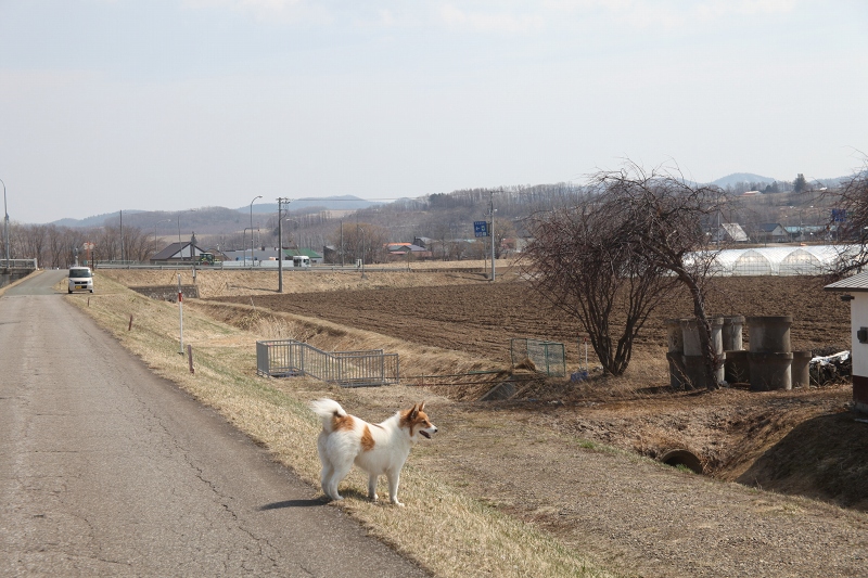 ファイル 50-2.jpg