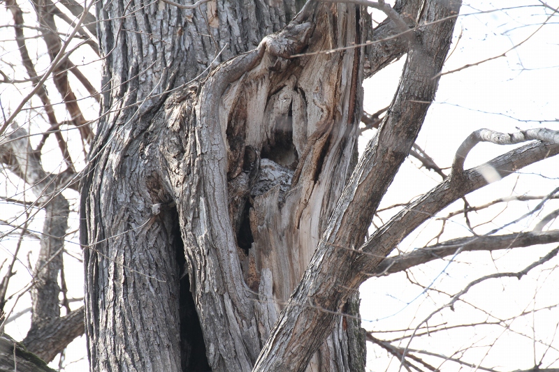 ファイル 51-2.jpg