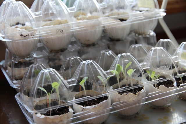 ファイル 55-1.jpg