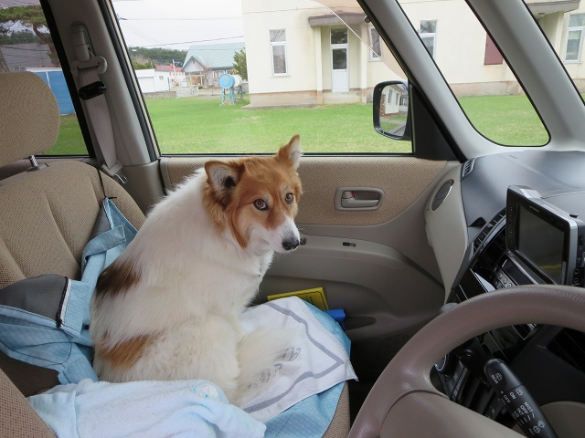 ファイル 55-4.jpg