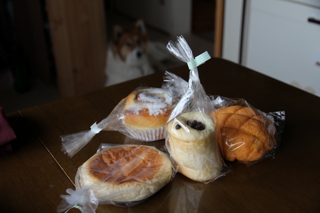 ファイル 55-6.jpg