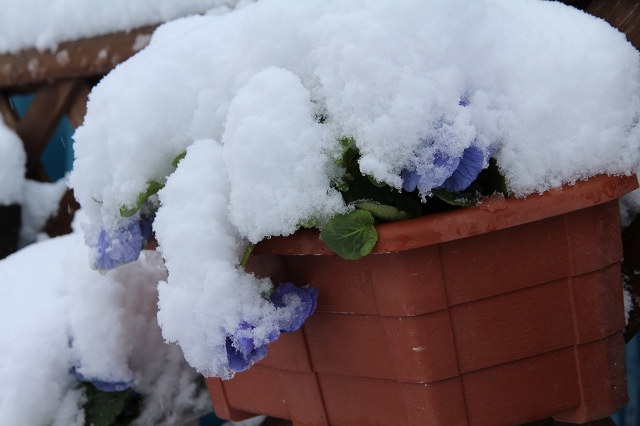 ファイル 56-2.jpg