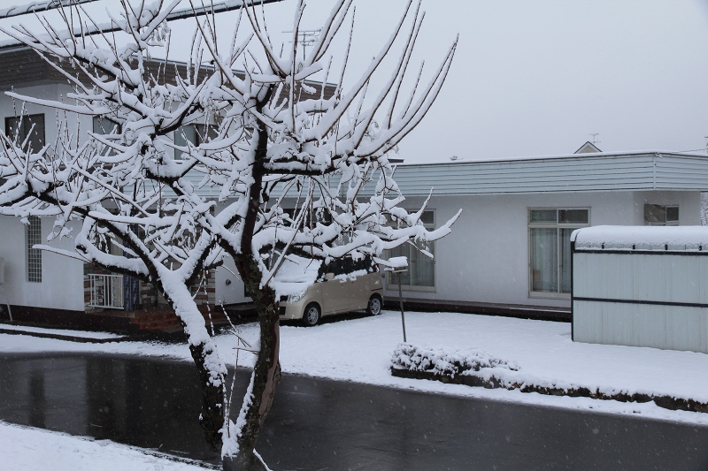 ファイル 56-4.jpg