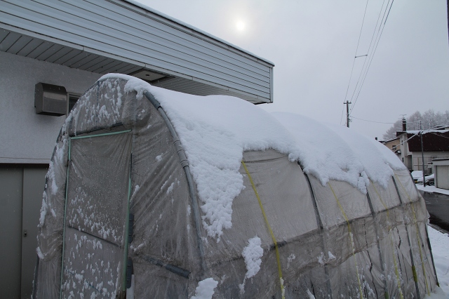 ファイル 56-5.jpg