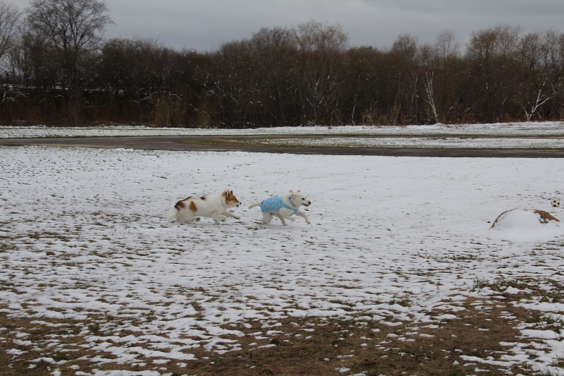 ファイル 57-3.jpg