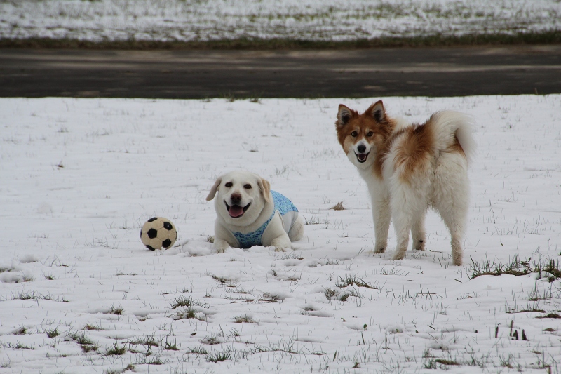 ファイル 57-4.jpg