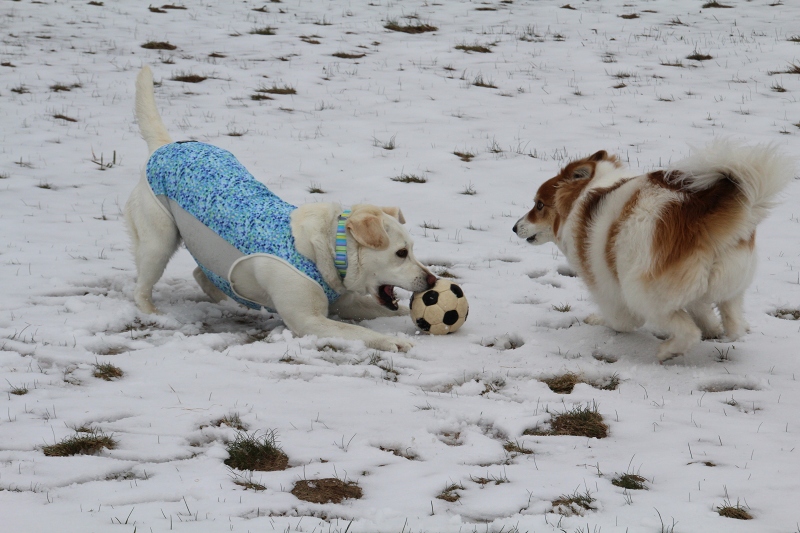 ファイル 57-5.jpg