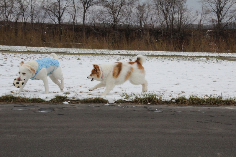 ファイル 57-6.jpg