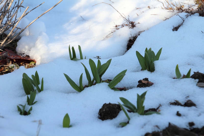 ファイル 58-1.jpg