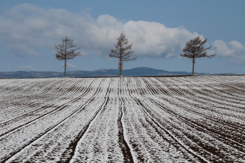 ファイル 58-2.jpg