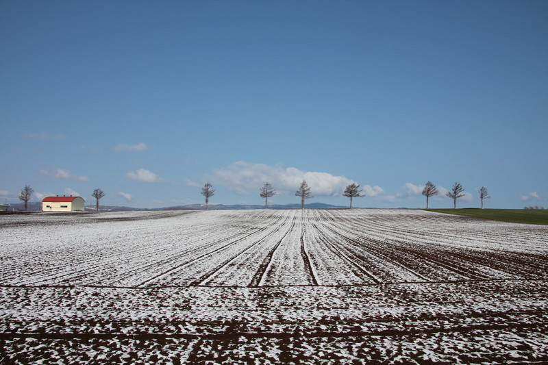 ファイル 58-3.jpg