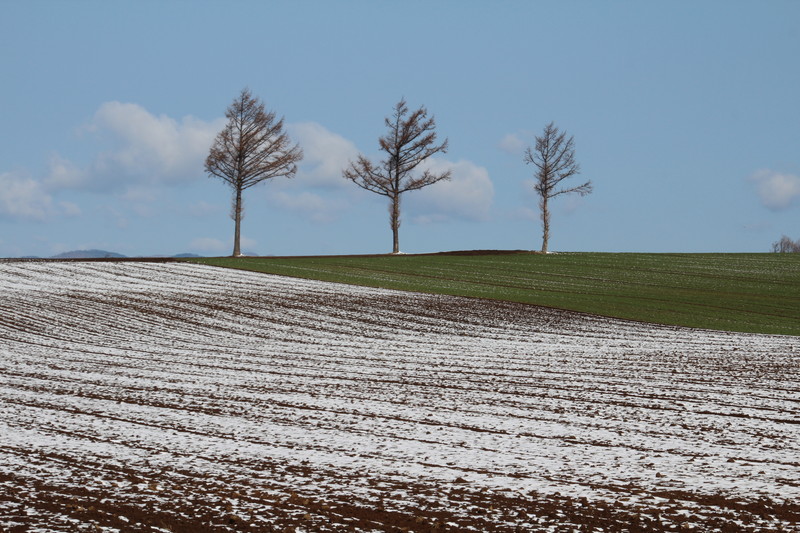 ファイル 58-4.jpg