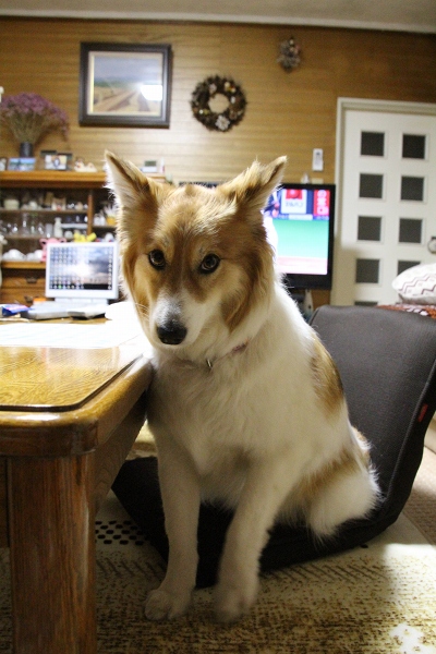 ファイル 59-7.jpg