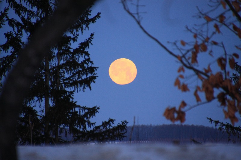 ファイル 6-1.jpg