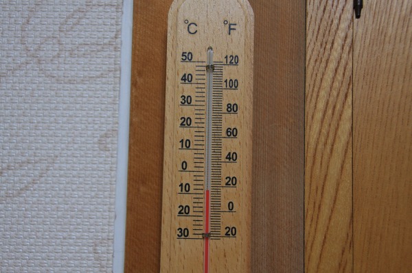 ファイル 6-2.jpg