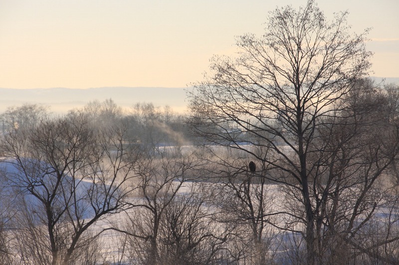 ファイル 6-5.jpg