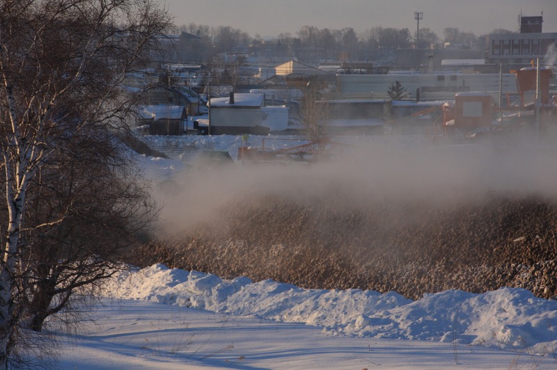 ファイル 6-6.jpg