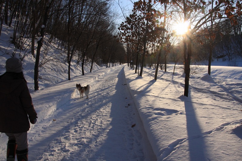 ファイル 6-7.jpg