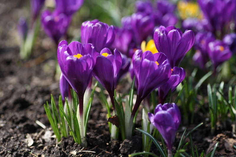 ファイル 60-2.jpg