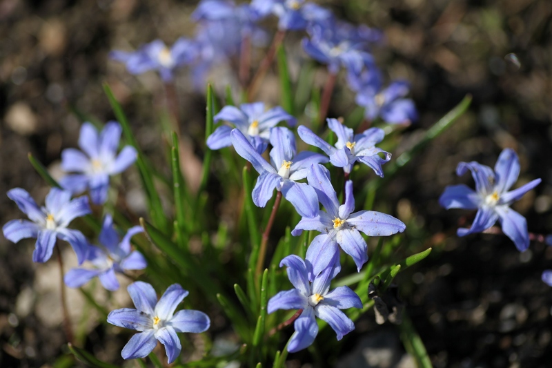 ファイル 60-3.jpg