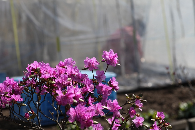 ファイル 60-6.jpg