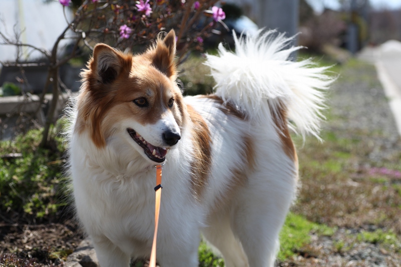 ファイル 60-7.jpg