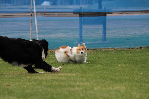 ファイル 61-1.jpg