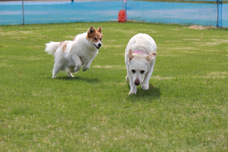 ファイル 61-2.jpg