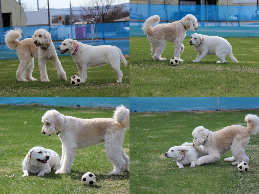 ファイル 61-3.jpg