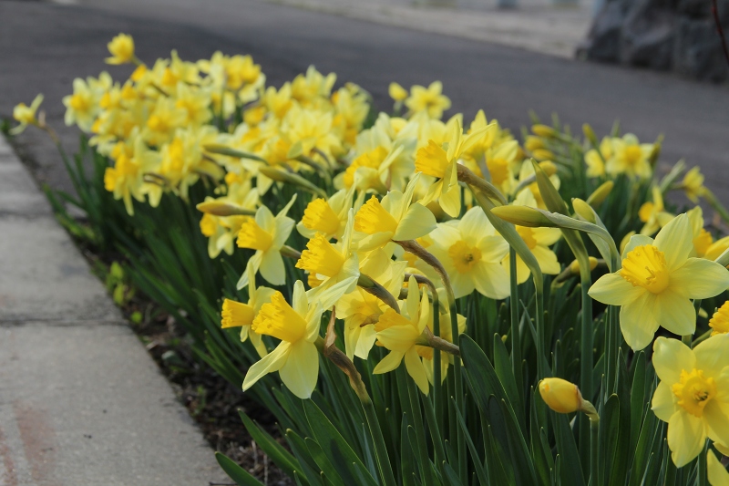 ファイル 62-3.jpg